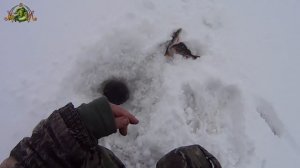 ОКУНЯ ЛОВИМ НОВЫМ СПОСОБОМ.( Глухозимье,конус,крючок,стопор )