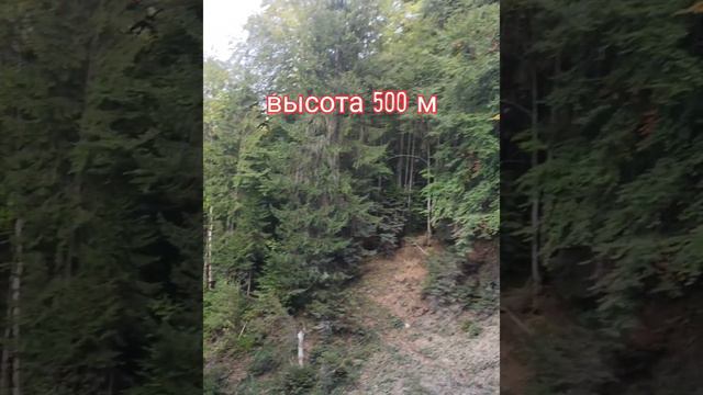 Водопад Гиссбах. Гиссбахфелле. Швейцария. Giessbach Wasserfall. Giessbachfälle.