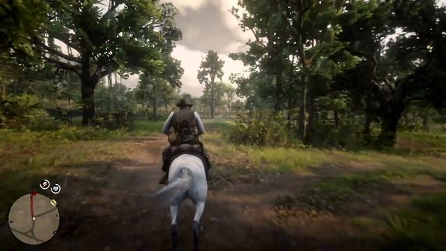 НЕРЕШЕННАЯ ЗАГАДКА В RED DEAD REDEMPTION 2 | ЗАГАДКИ И ТАЙНЫ RDR2