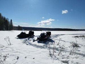 Сломалось рулевое управление в лесу на Тайге Варяг