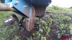 Фрезеровка междурядий на 2 фрезах МБ 23, дисковое окучивание, кроты, заморозки