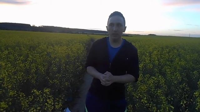 Почему люди разводятся? Тщательный анализ. смотреть онлайн