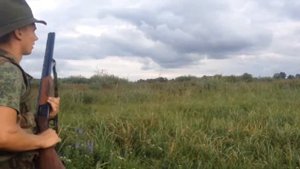 Охота на бекаса и дупеля в Беларуси