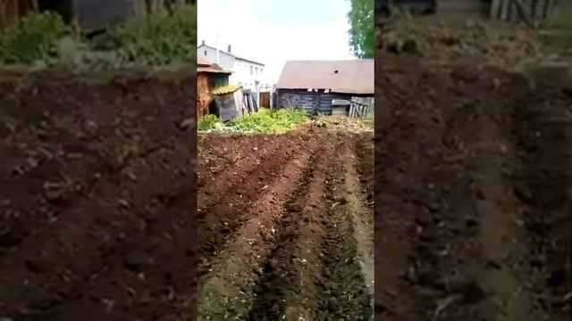 Нарезка гребней под посадку картошки