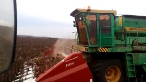 Жатка Falkon 870 & Дон 1500б