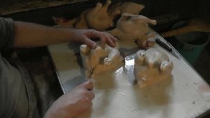 Забой,ощипывание и потрошение бройлеров