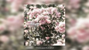 тринадцать карат — ты