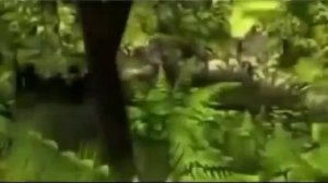 Луиза Хей. Молитва благодарности от Луизы Хей