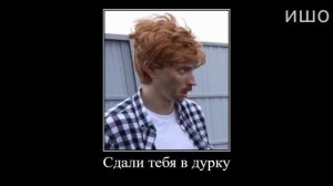 Муд Влад А4 демотиватор (Риви Прожила 100 Лет за 24 Часа)