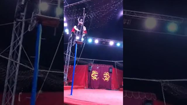 Цирк Уфа смотреть онлайн