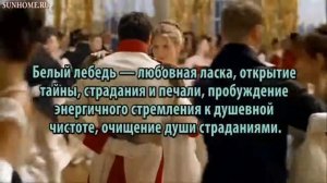 К чему снится Белый лебедь сонник, толкование сна