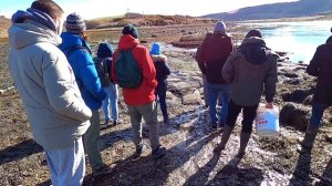 ИРЛАНДСКИЕ УСТРИЦЫ?УСТРИЧНАЯ ФЕРМА/ЛУЧШИР УСТРИЦЫ ИРЛАНДИИ/КАК ВЫРАЩИВАЮТ УСТРИЦЫ