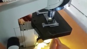 Искусственное осеменение кроликов