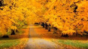 "Вот и осень" В.Асмолов