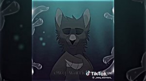 коты воители 💓