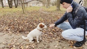 УРОК 5 | КЛИКЕР. ЗАЧЕМ НУЖЕН КЛИКЕР И КАК ПРИУЧИТЬ К НЕМУ СОБАКУ?
