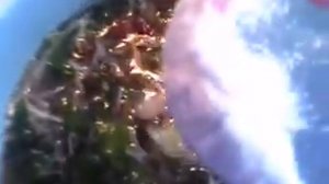 Борщ  из молодой свекольной ботвы