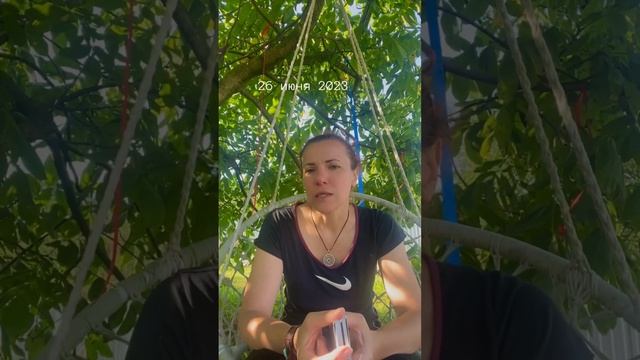 26 июня 2023 карта дня - дом смотреть онлайн