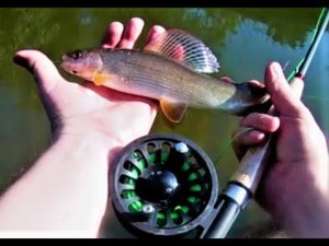 РЫБАЛКА В ДИКОЙ ГЛУШИ Псковской области. Река кипит от рыбы!!!