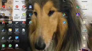 Автоэлектрик- диагност  Сколько стоит работа часть 2