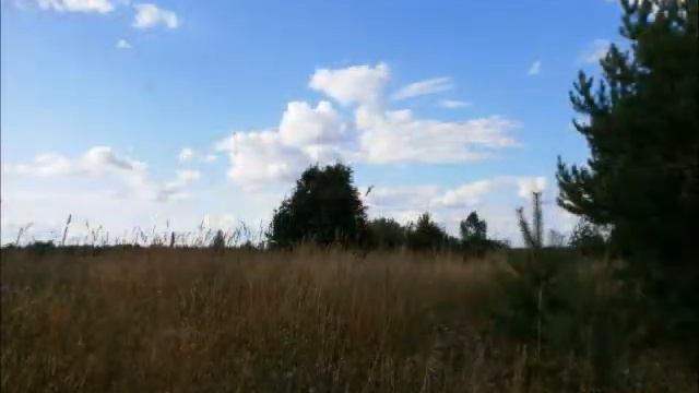 Кладовка и Ветлуга смотреть онлайн