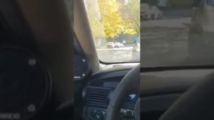 Мини Обзор ВЫСОКОЧАСТОТНАЯ АКУСТИЧЕСКАЯ СИСТЕМА URAL (УРАЛ) AS-W30TW «SHKVAL»