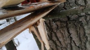 устанавливаю беличьи плашки