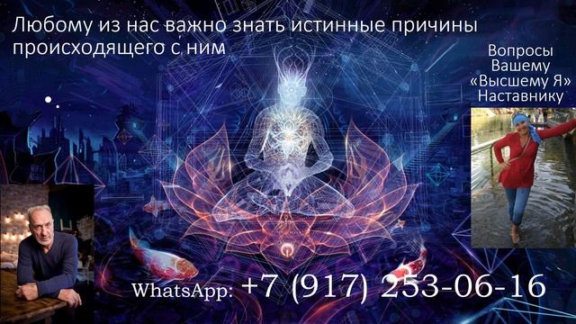 Самопоедание