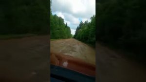 Куда пропал асфальт?!  Калужская область от д. Дубинино до д. Лужное