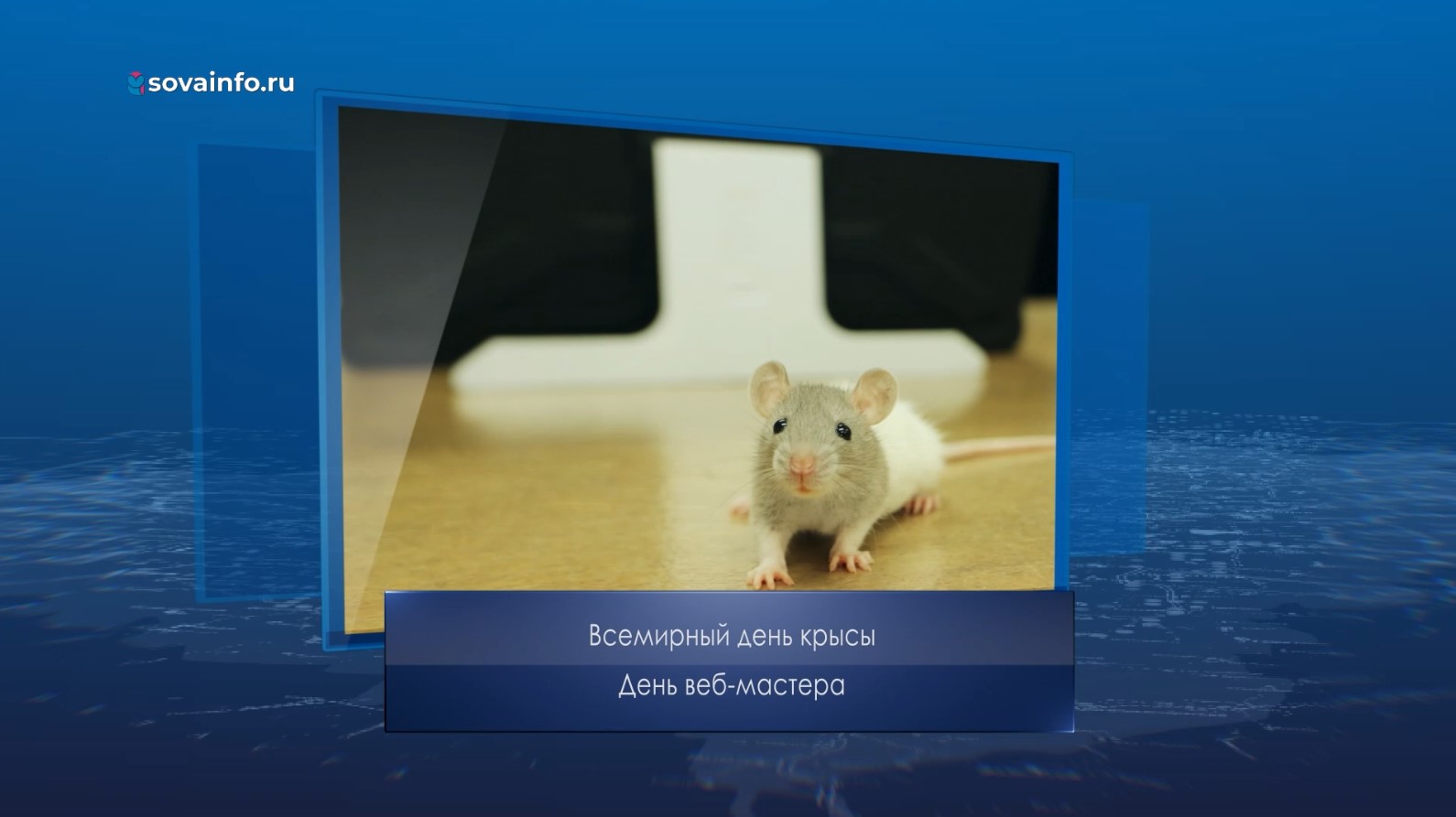 День крысы 4 апреля картинки. Международный день крысы. 4 Апреля крыса. Всемирный день крысок. Всемирный день крысы 4.