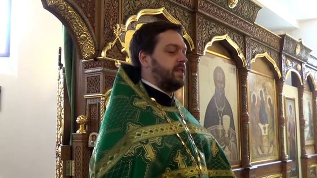 Вход Господень в Иерусалим. 9 апреля 2017 г. смотреть онлайн