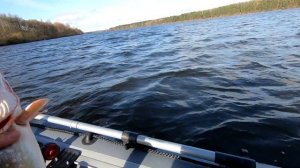 Рыбалка на раттлин в отвес (Белый городок 26.10.23)