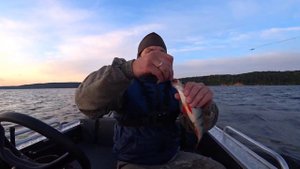 Троллинг. Ловля Окуня на вертушки. Чебоксарское водохранилище (Шомиково).