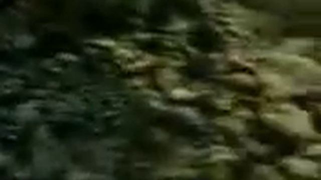 колым ягода шикша смотреть онлайн