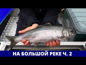 На Большой реке, часть 2 // Географию нахлыста