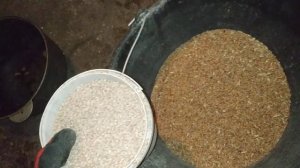 Рацион мясо-яичных пород кур. Тонкая шкарлупа яиц. Как с этим бороться???