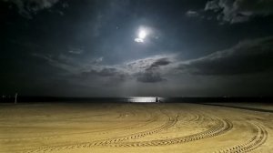 ДРЕМЛЮТ В ПОЛЕ ПАСТУХИ | Рождественская песня | Виталий Русавук