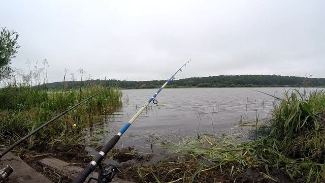 Карась клюёт, попал на раздачу. Рыбалка мечта. Ч1 смотреть онлайн