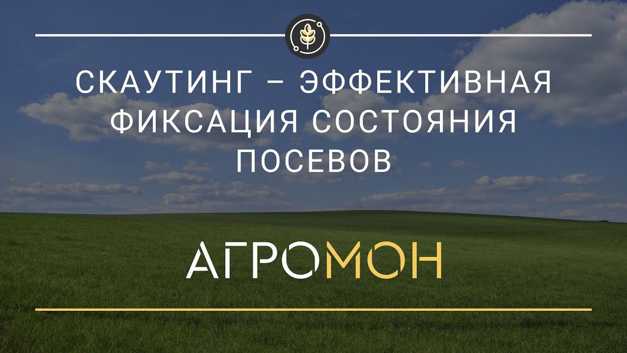 Осмотры