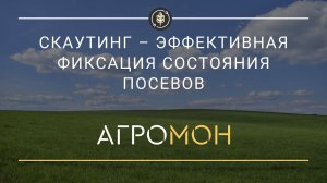 Осмотры