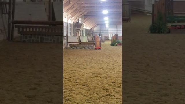 Cadet Blue смотреть онлайн