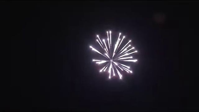 С2010 Белая хризантема смотреть онлайн