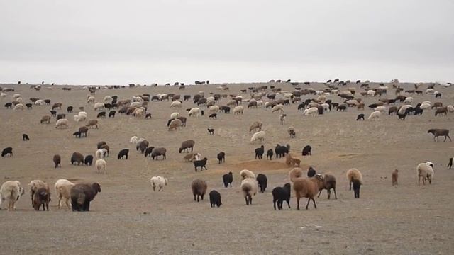 ЭИ Калмыки 30 03 2018 0+ 16х9 смотреть онлайн