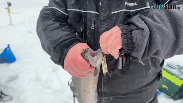 Ловля ФОРЕЛИ СО ЛЬДА. Кубок OnlySpin. Голицыно fish.