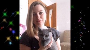 Дорожку к дому твоему