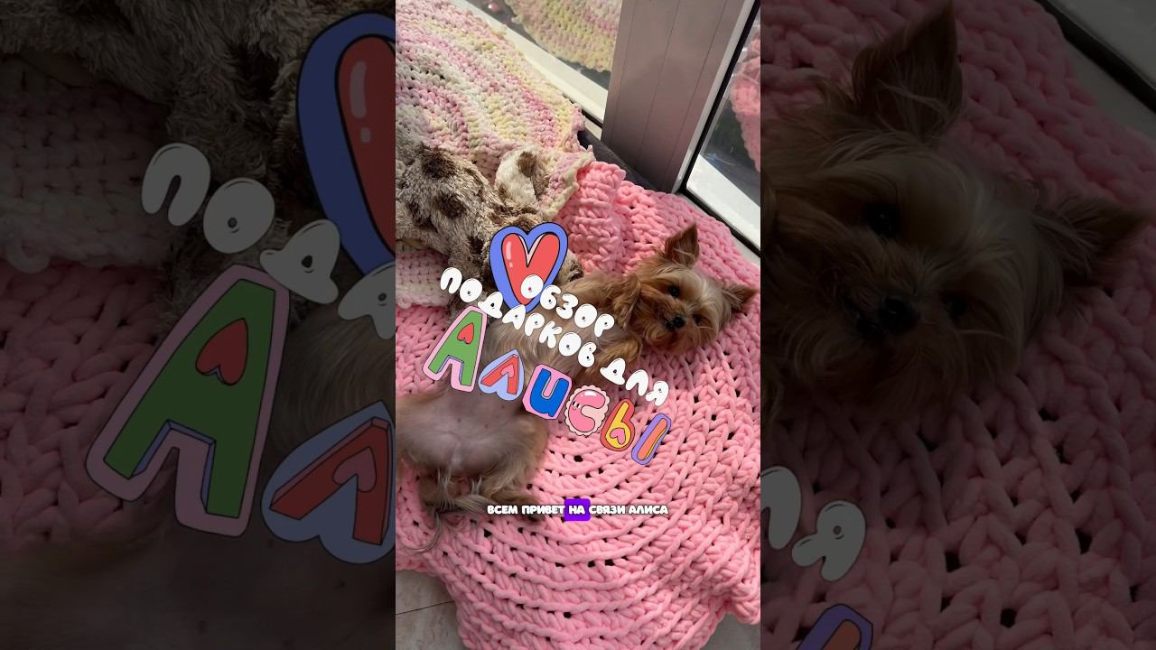 ПОДАРКИ ДЛЯ АЛИСЫ  СКОРЕЕ КОМЕНТИРУЙ, если любишь животных ♥️ @ozon_ru  #ozonхочумиллион