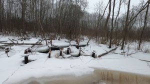 Зима. Необычно избавились от плотины бобров. Бонус осмотр реки на 2 и 3 день