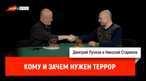 Николай Стариков - кому и зачем нужен террор
