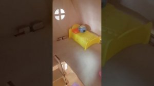 История о коте пришельце