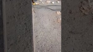 шкода октавия тур. замена рулевой тяги. много мата